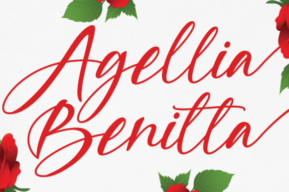 Agellia Benitta Font for Business