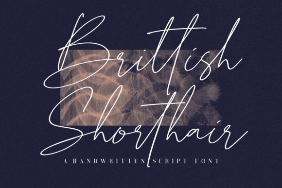 Brittish Shorthair Font for Business