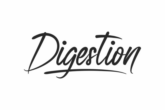 Digestion Font: Elegant Script for Business