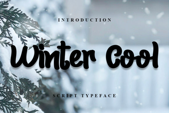 Winter Cool: A Stylish Font for Business Branding